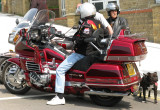 goldwing + 1