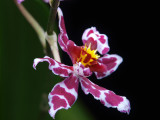 PB100593.jpg