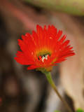 PB160777.jpg