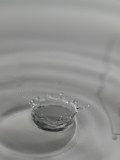 Droplet004a.jpg