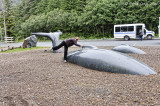 Photography Guide on Whale at Whale Park, Sitka