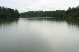 MacRitchie Reservoir