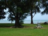 East Coast Park-005.JPG