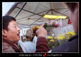 chinatown_flowerfair229.jpg