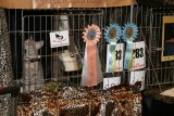 Showcage with the Rosettes