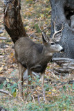 IMG_3415.jpg