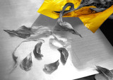Dried Petals and Yellow Foil