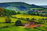 Farmland, near Shaftesbury, Dorset (1908)