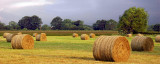 The first bales of summer (2820)