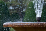 Fountain splash, Montacute (4239)