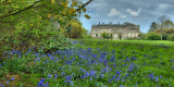 Stourhead House and bluebells, Wiltshire