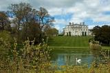 House and swan, Kingston Maurwood