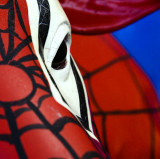12/10/08 - Spider Cow