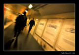 26/11/08 - Colors echange
