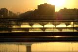 52475250.pb_Viewof.jpg