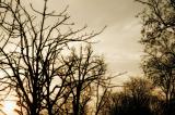 16/01/06 - ordinary ballad