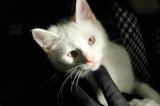 06/02/06 - Bill