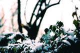 03/03/06 - Snow party