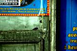 06/05/06 - En passant