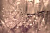 19/05/06 - Voyage