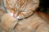 23/05/06 - The Thinker