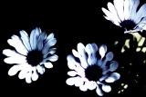 28/05/06 -  B3