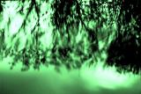 06/06/06 - 666