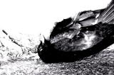 07/06/2006 - Dead