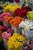 At the Flowermart