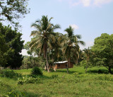 Tropical Ranch House, Olypus E-420