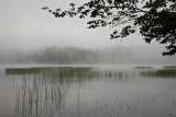 Misty morning on Brown Tract Pond