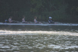 Regatta-4201.jpg