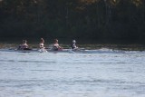 Regatta-4300.jpg