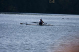 Regatta-4768.jpg