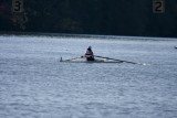 Regatta-4772.jpg