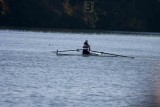 Regatta-4774.jpg