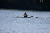 Regatta-4790.jpg