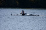 Regatta-4791.jpg