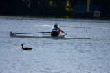 Regatta-4800.jpg