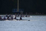 Regatta-4963.jpg