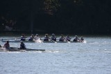 Regatta-4967.jpg