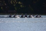 Regatta-4969.jpg