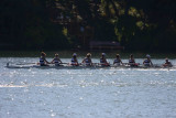Regatta-4975.jpg