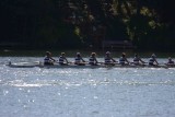 Regatta-4976.jpg