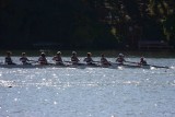 Regatta-4984.jpg