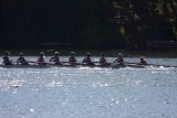 Regatta-4985.jpg