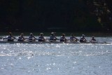 Regatta-4988.jpg