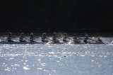 Regatta-4993.jpg