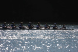 Regatta-4994.jpg