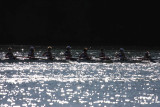 Regatta-4999.jpg